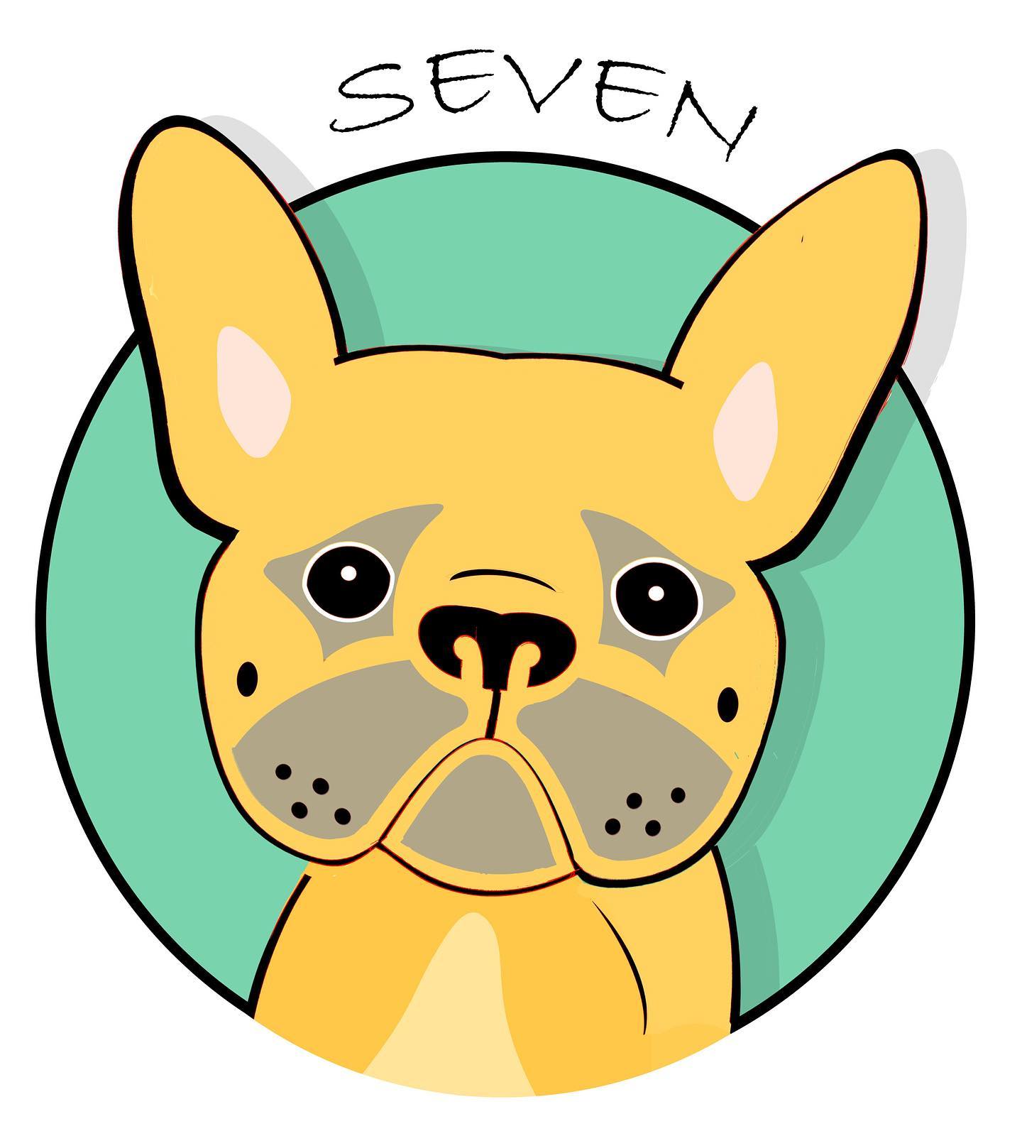 Seven the bulldog