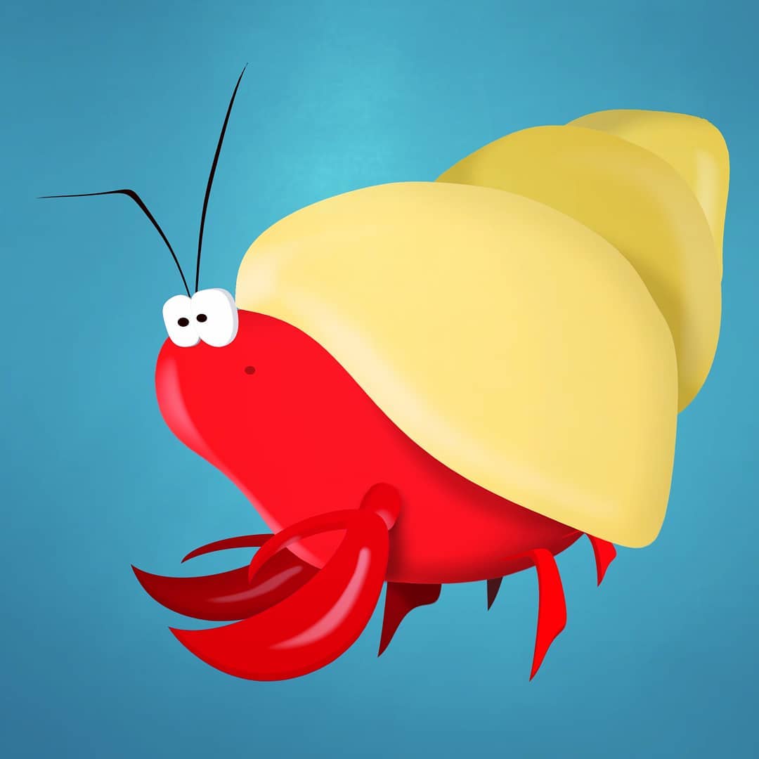 Hermit crab