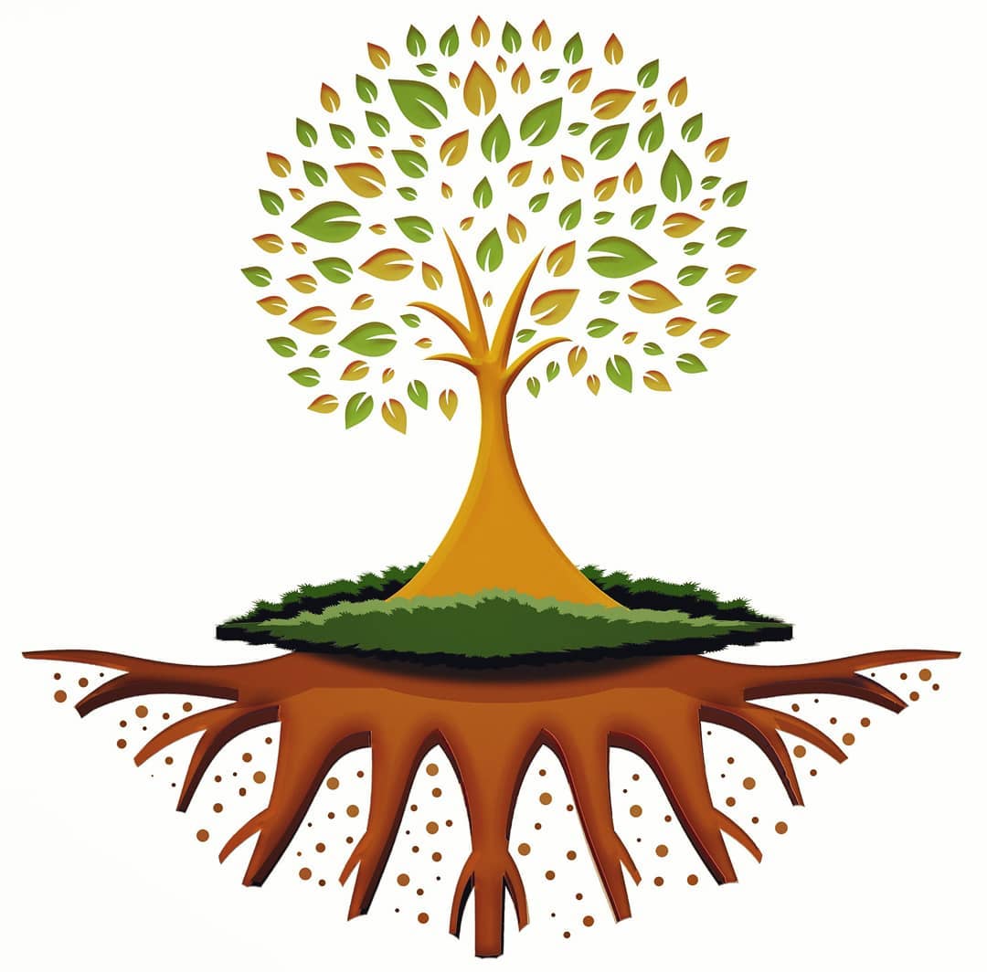 Roots