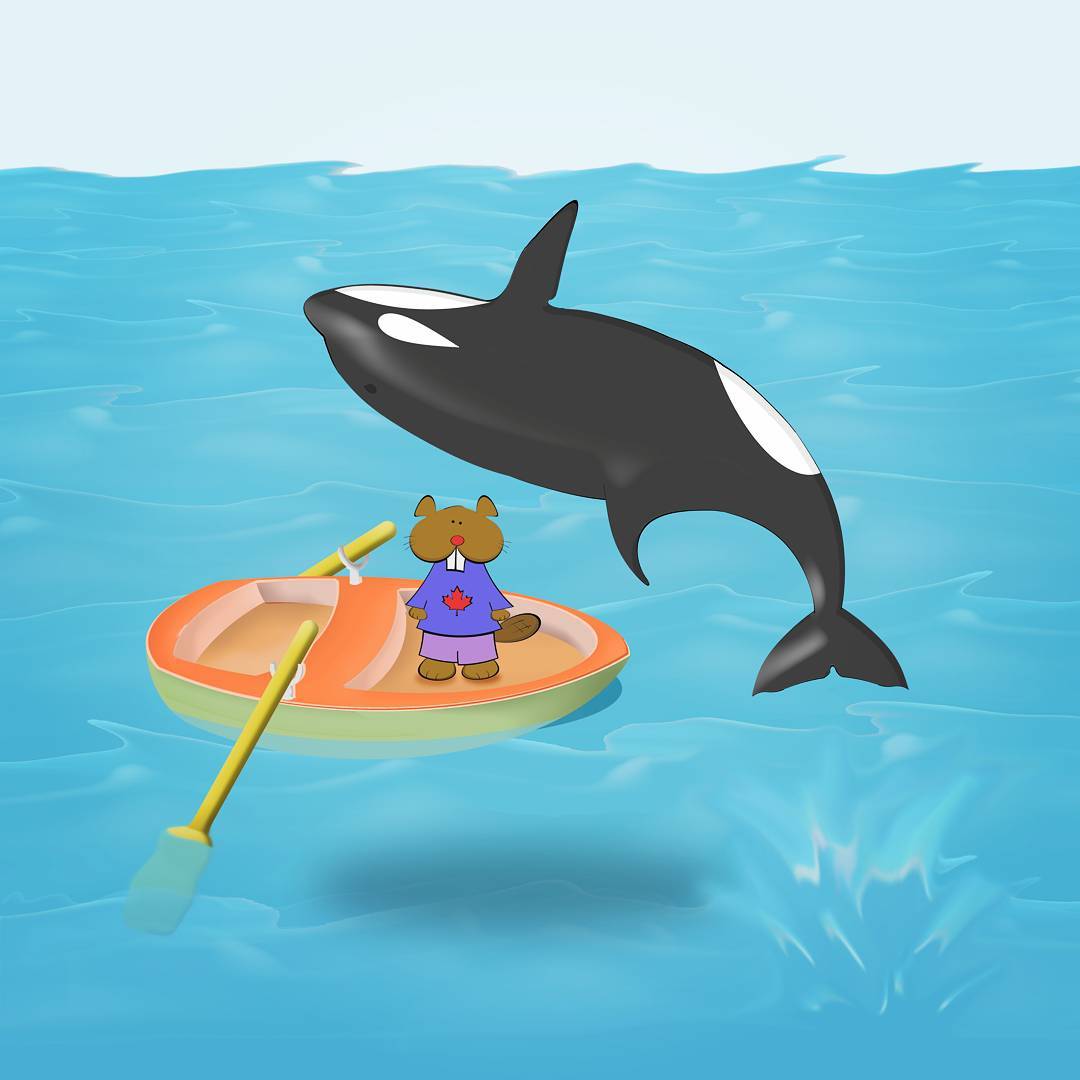 Dave meets an orca